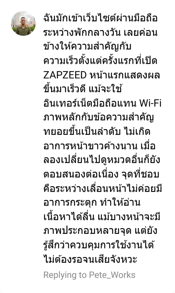 zapzeed review 6